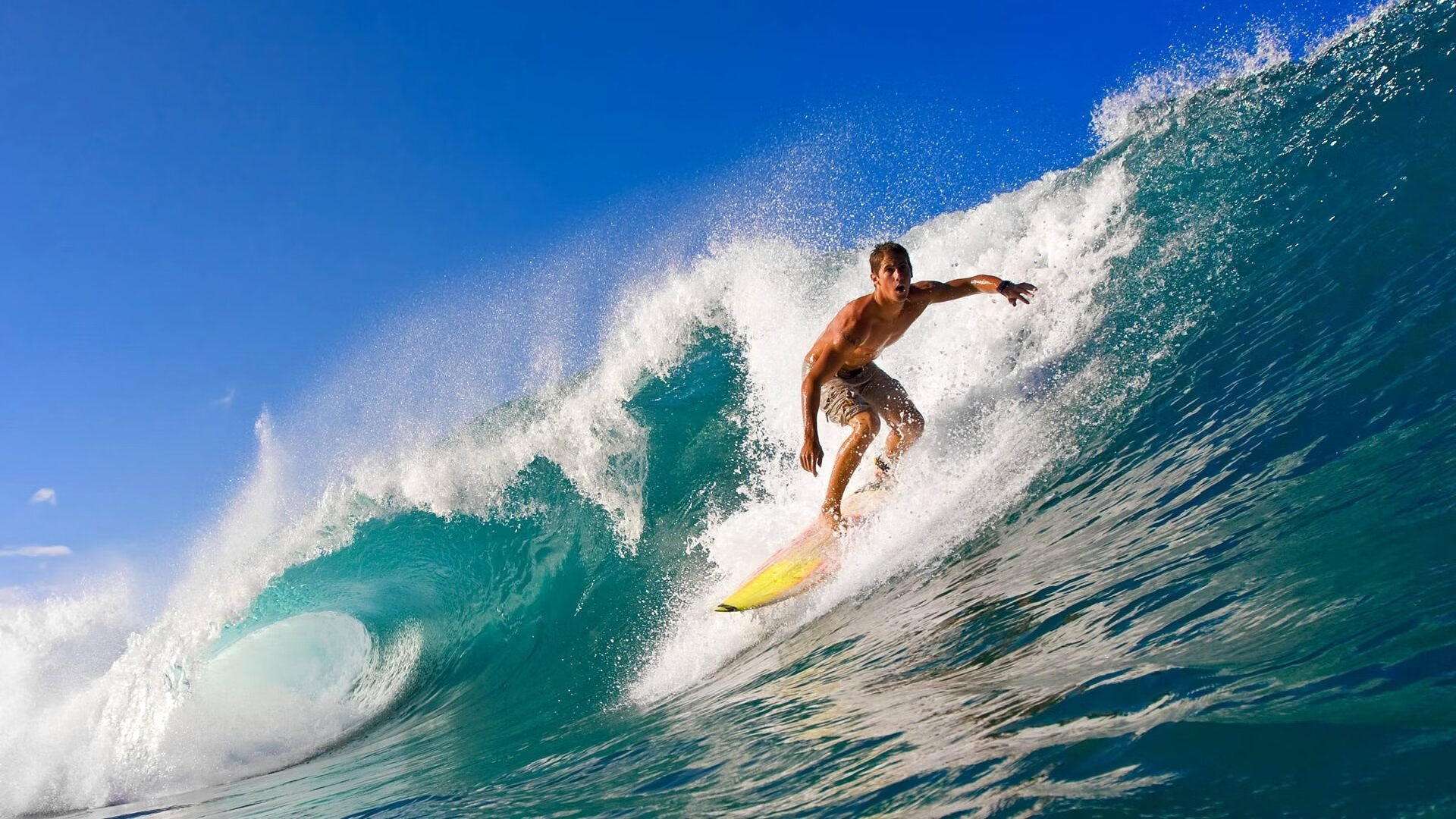 鹰击长空，范弗利特末节接管，老鹰正面击溃上海队挺进总决赛